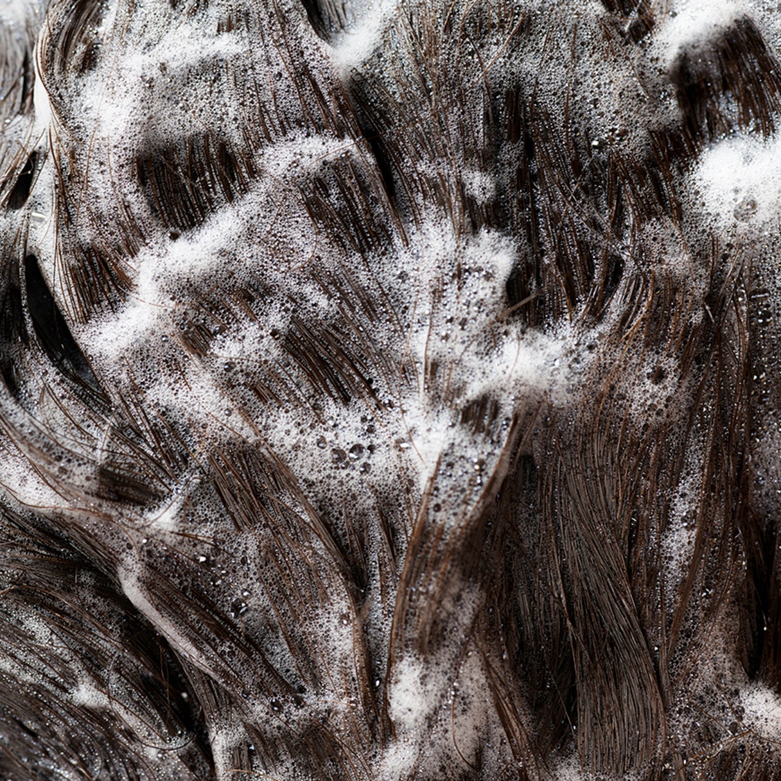 Signature Shampoo - Image 12