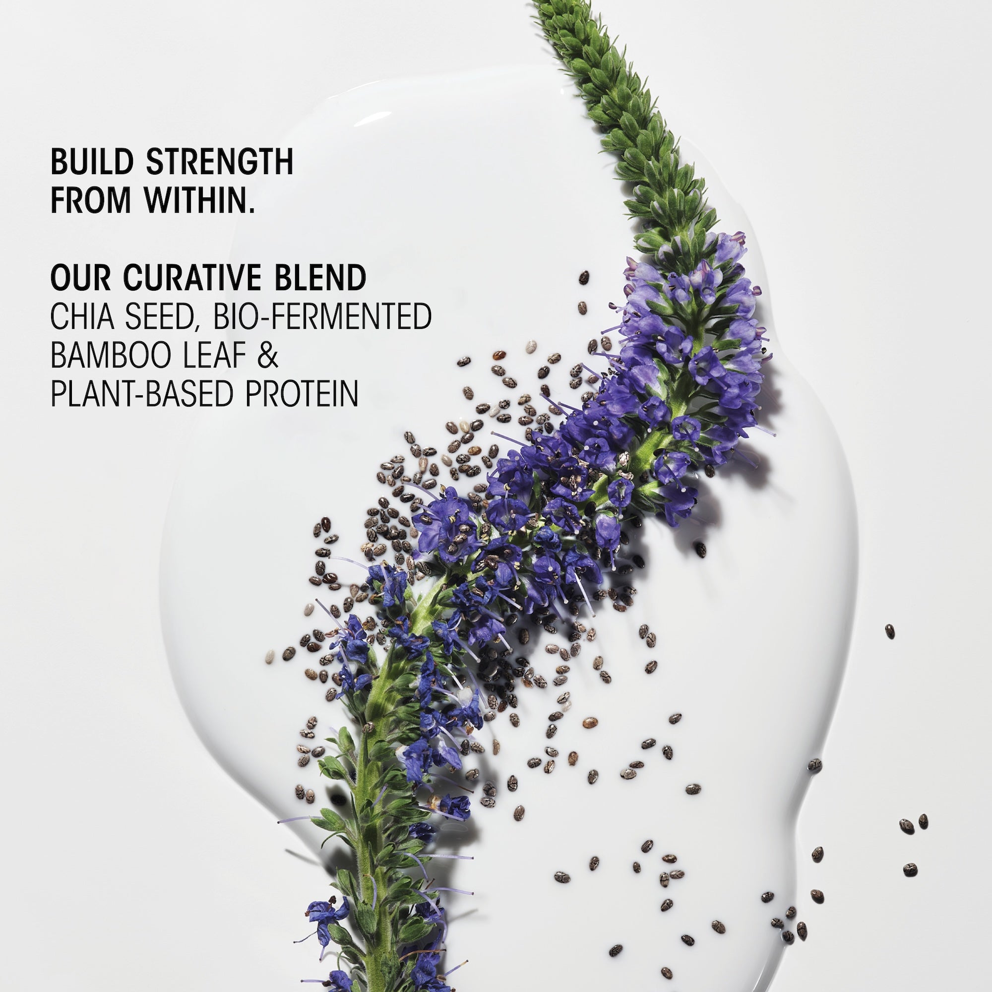 Hair Alchemy Discovery Collection - Image 5