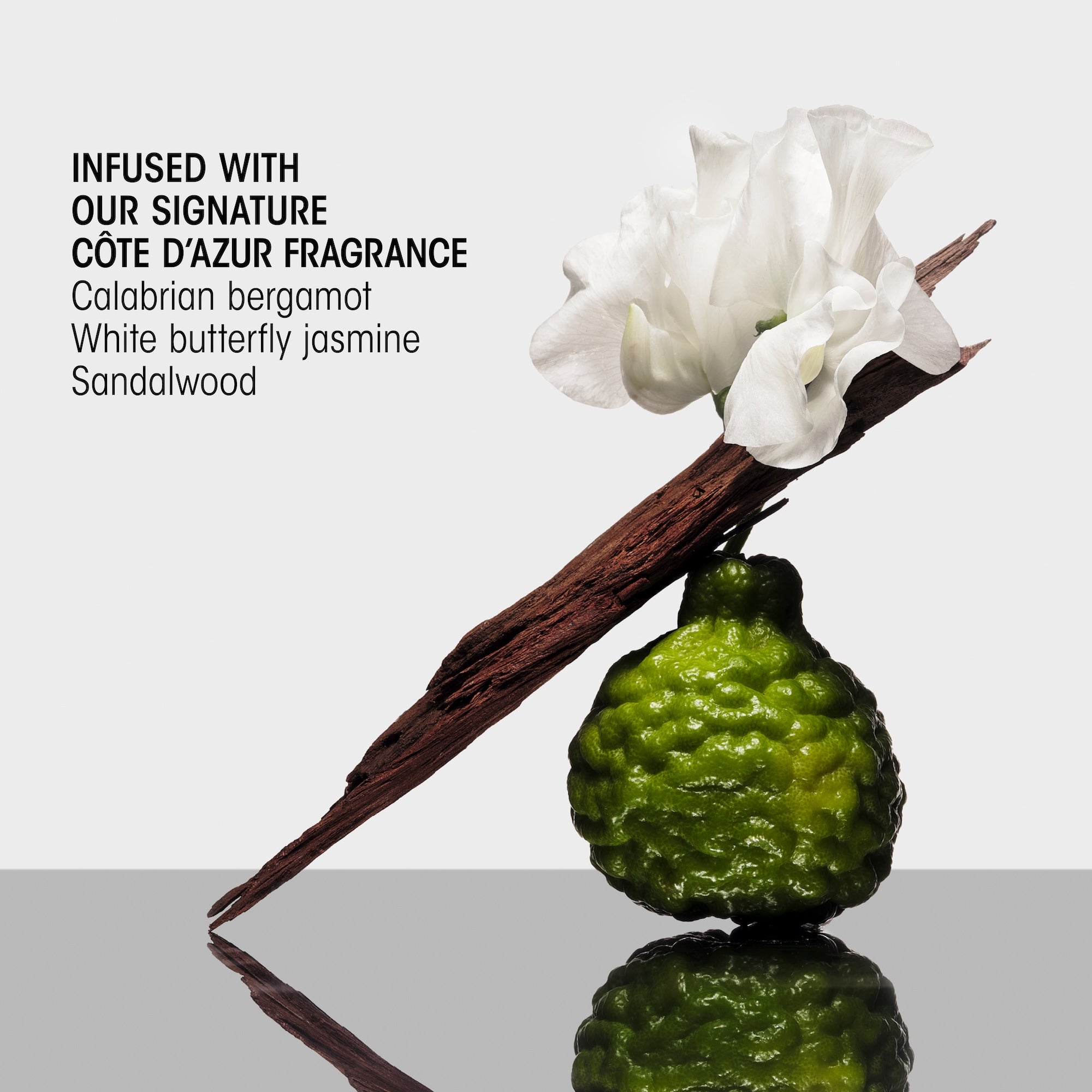 Hair Alchemy Discovery Collection - Image 6